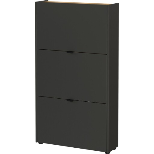 Pantofar gri antracit cu deschidere înclinată 71x127x22 cm Ameca – Germania