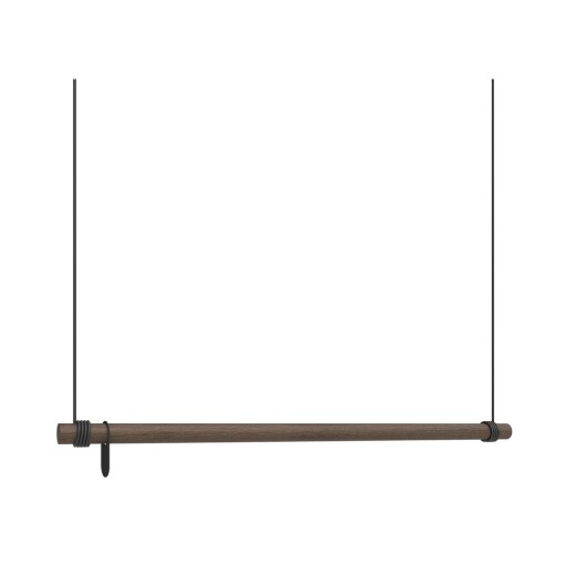 Suport pentru haine maro pentru perete din lemn de stejar 110x200x4 cm Swing L – LIND DNA