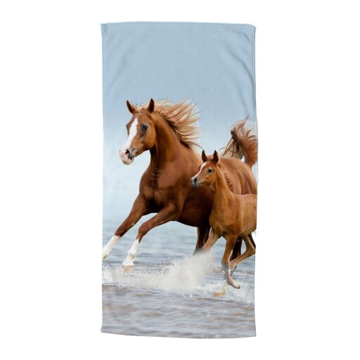 Prosop de plajă albastru/maro din catifea pentru copii 75x150 cm Free – Good Morning