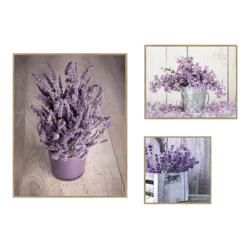 Tablouri 3 buc. 40x50 cm Purple Flowers – knor