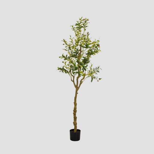 Planta artificiala Ailia, Homla, 180 cm, plastic, verde