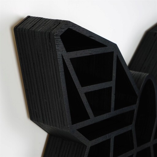 Raft de perete, Evila Originals, Cry007-S, 27x40x6 cm, Lemn masiv, Negru