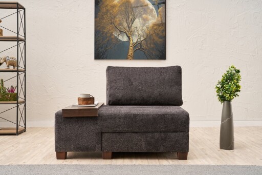 Fotoliu extensibil, Balcab Home, 825BLC4710, Lemn, Antracit