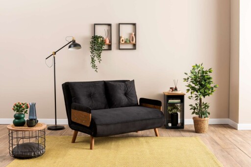 Canapea extensibila 2 locuri, Futon, 859FTN2721, Metal , Negru