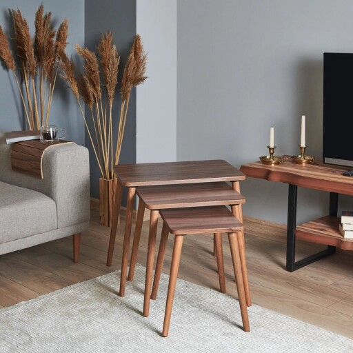 Set masute 3 piese, Hanah Home, Tuval 060, Maro