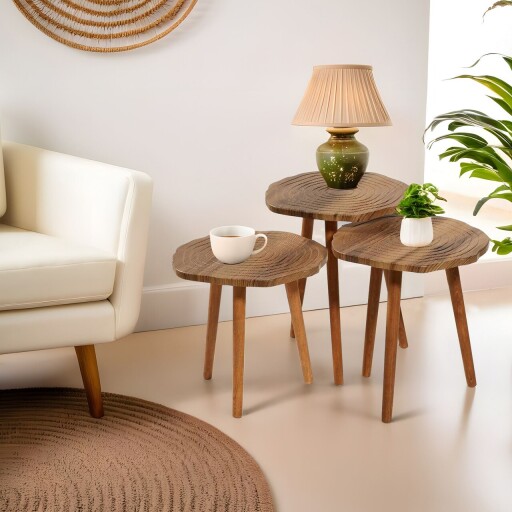 Set masute 3 piese, Hanah Home, Tuval 080, Nuc / Stejar