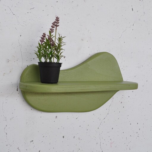 Raft de perete, Evila Originals, Meh224, 35x18x11 cm, Placaj, Verde deschis