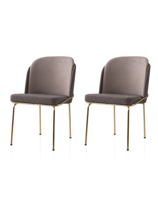 Set scaune 2 piese, Nmobb, Dore, Cadru: 100% FIER, Auriu / Maro / Nurcă