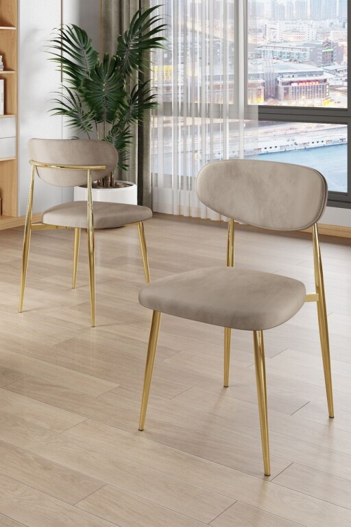 Set scaune 6 piese, Hanah Home, Vina, Cappuccino / Aur