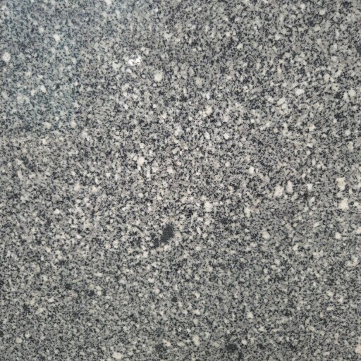 Granit Hera Polisat 2 cm – Blaturi, Trepte, Glafuri si Piese Personalizate