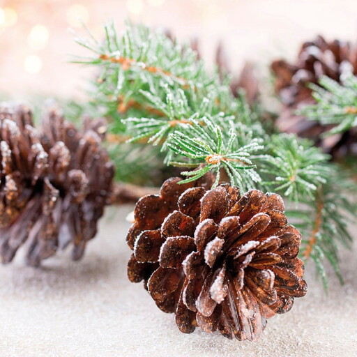 Șervețele 20 buc. 33x33 cm Noel – Homéa