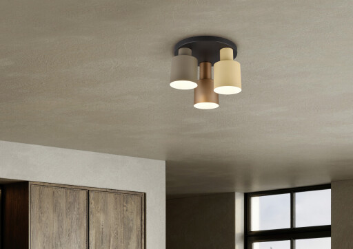 Plafoniera Agudo, TRIO, 30x24.5 cm, 40W, 3x E27, metal, multicolor