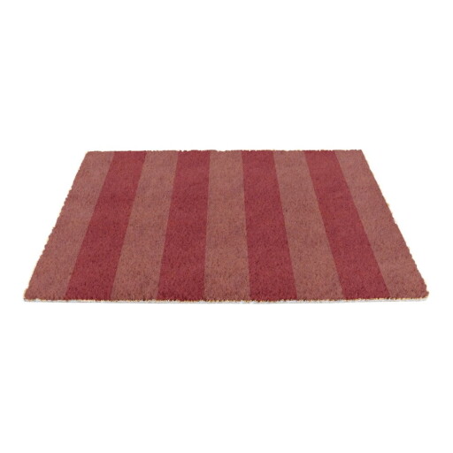 Covoraș de intrare din fibre de nucă de cocos 40x60 cm Pink Stripe – Artsy Doormats