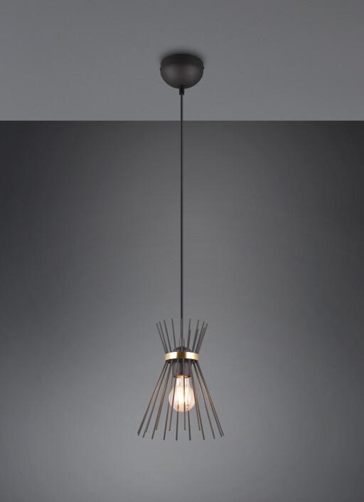 Lustra Rod, RL, 20x25 cm, 40W, 1x E27, metal, negru/auriu