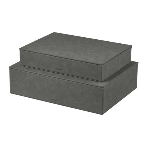 Cutii de depozitare gri-antracit 2 buc. din piele artificială cu capac, decorative 40x30x11 cm Sahla – Blomus