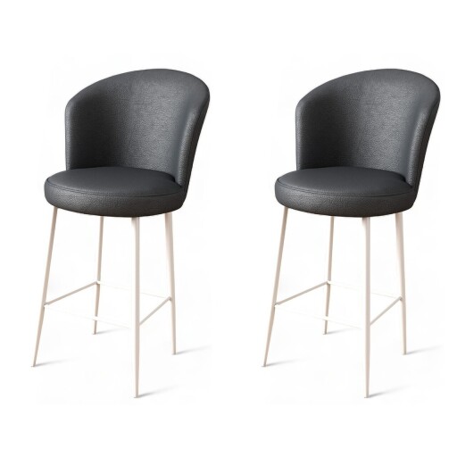 Set scaun de bar (2 bucăți), Hanah Home, Uras, Antracit/Alb