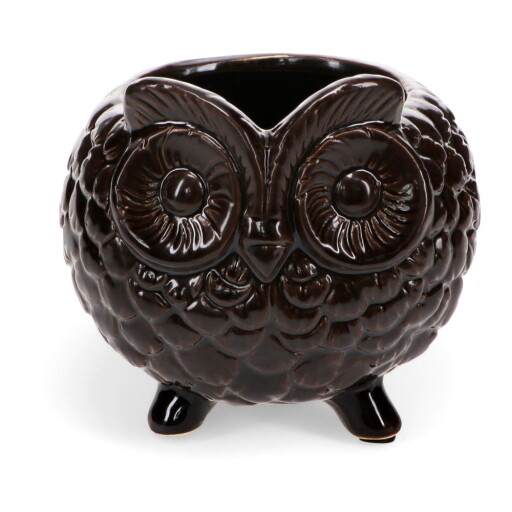 Ghiveci decorativ din ceramică ø 11 cm Owl – Rex London
