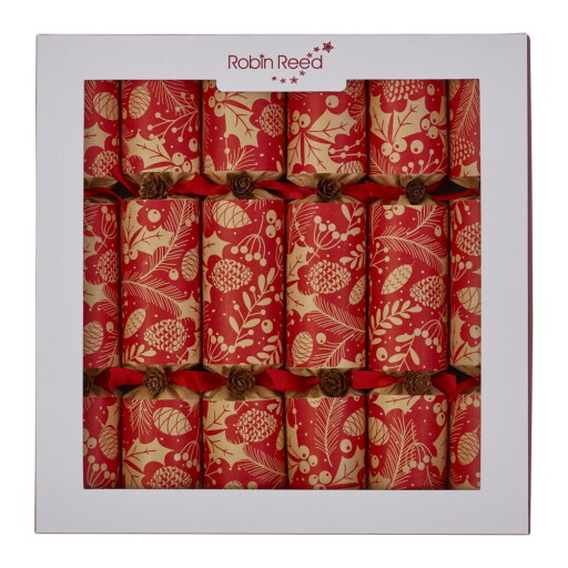 Pocnitori de Crăciun 6 buc. Winter Pine Cones – Robin Reed