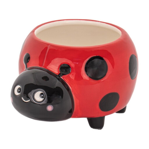 Ghiveci decorativ din ceramică Ladybird Mini – Sass & Belle