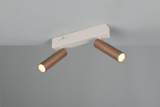 Plafoniera Ambala, TRIO, 26x4x17.5 cm, 5.5W, 2x SMD, metal, alb/aramiu