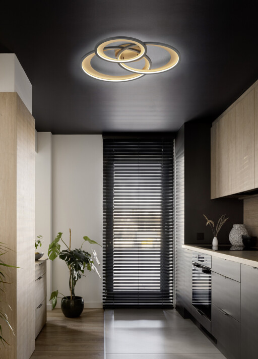 Plafoniera Granada, TRIO, 71.5x63.5x10.5 cm, 36W, 1x SMD, metal, negru mat/auriu