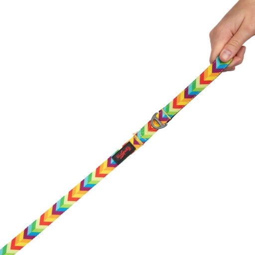 Lesă pentru câini, Paws &amp; Whiskers, Rainbow Small, Poliester, Multicolor