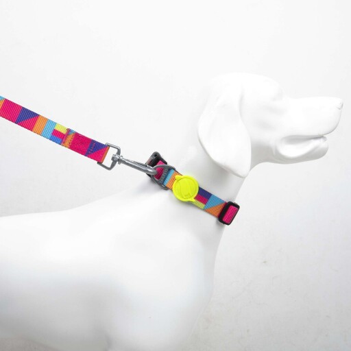 Lesă pentru câini, Paws &amp; Whiskers, Spirit Small, Poliester, Multicolor