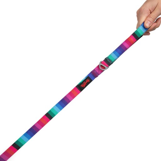 Lesă pentru câini, Paws &amp; Whiskers, Wave Small, Poliester, Multicolor