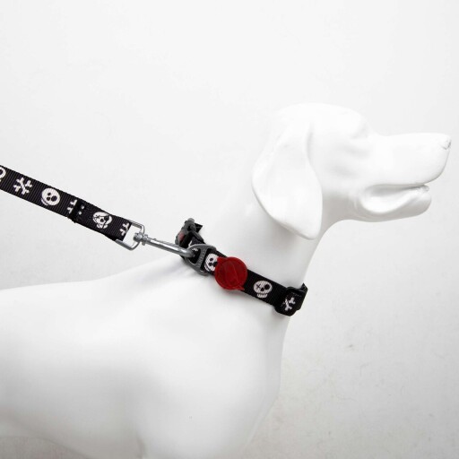 Lesă pentru câini, Paws &amp; Whiskers, Boo Medium, Poliester, Multicolor