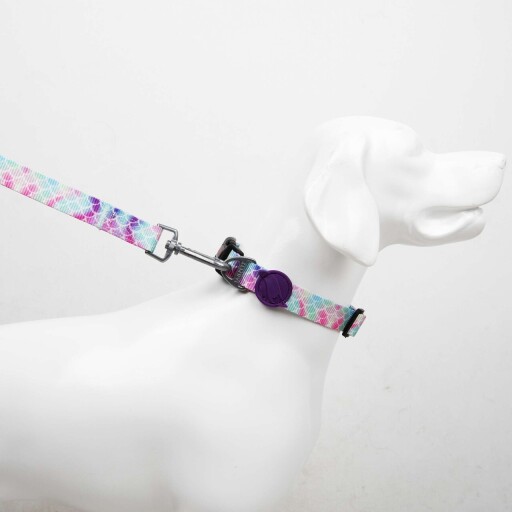 Lesă pentru câini, Paws &amp; Whiskers, Bubles Medium, Poliester, Multicolor