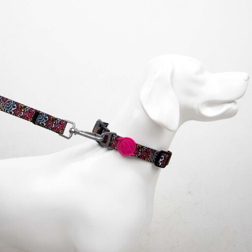 Lesă pentru câini, Paws &amp; Whiskers, Graffiti Medium, Poliester, Multicolor