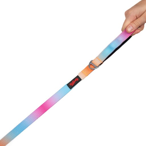 Lesă pentru câini, Paws &amp; Whiskers, Pass Medium, Poliester, Multicolor