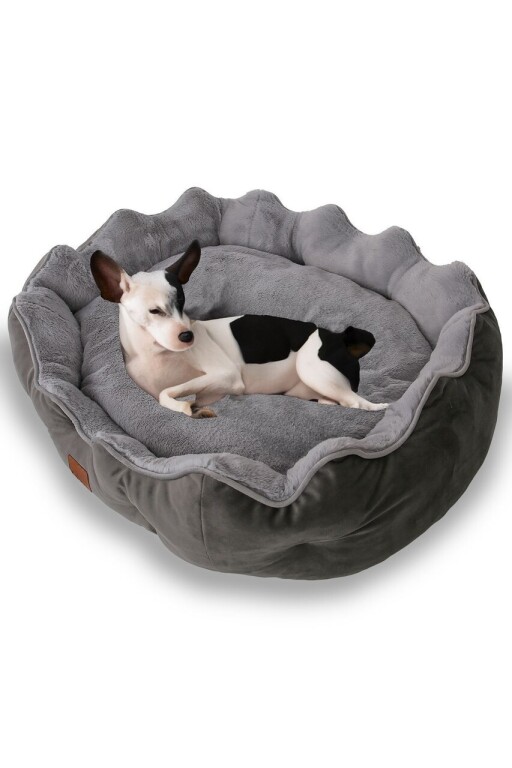 Pat pentru animale de companie, Paws &amp; Whiskers, Elsa Dog S, Material exterior: 100% poliester, Antracit