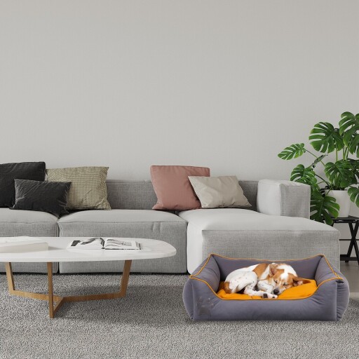 Pat pentru animale de companie, Paws &amp; Whiskers, Lucy Dog &amp; Cat S, Material exterior: 100% poliester, Gri/Muștar