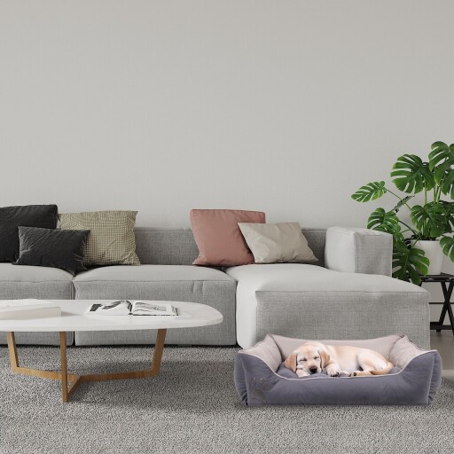 Pat pentru animale de companie, Paws &amp; Whiskers, Lucy Dog &amp; Cat S, Material exterior: 100% poliester, Gri / Gri deschis