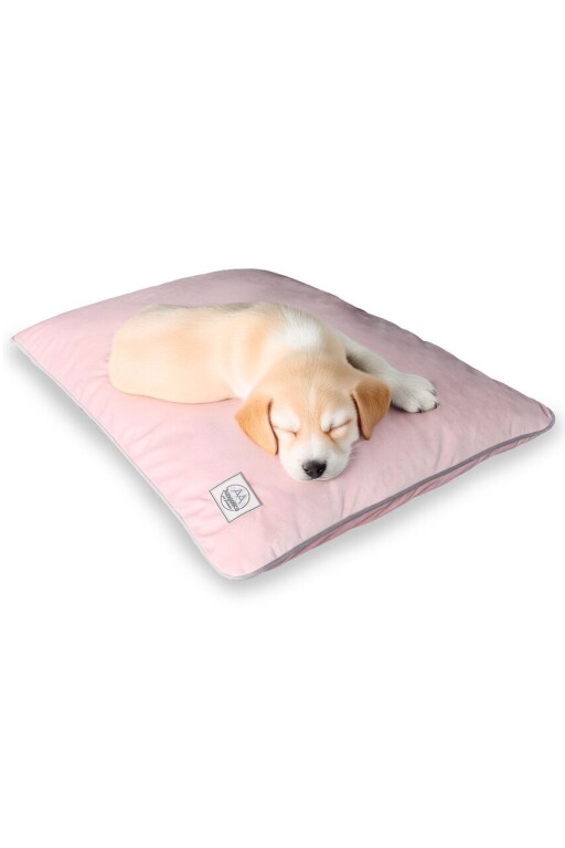 Pat pentru animale de companie, Paws &amp; Whiskers, Puppy Dog M, Material exterior: 100% poliester, Roz deschis