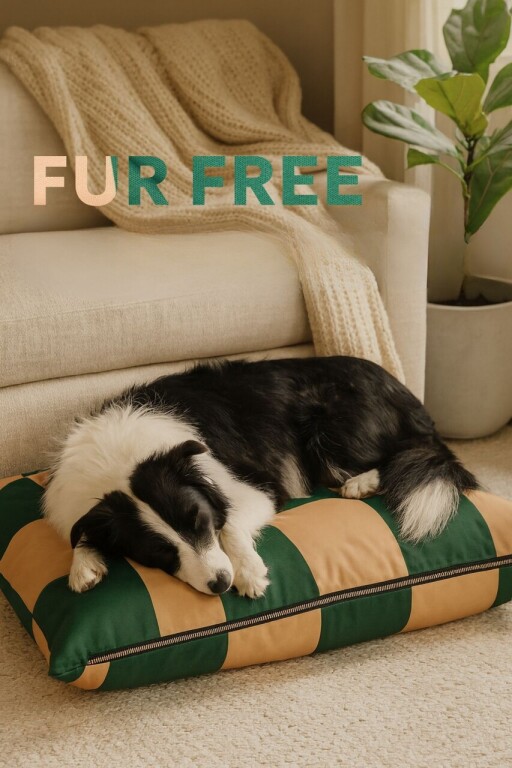 Pat pentru animale de companie, Paws &amp; Whiskers, Fur Free 64 x 88, Material exterior: 100% poliester, Verde / Bej