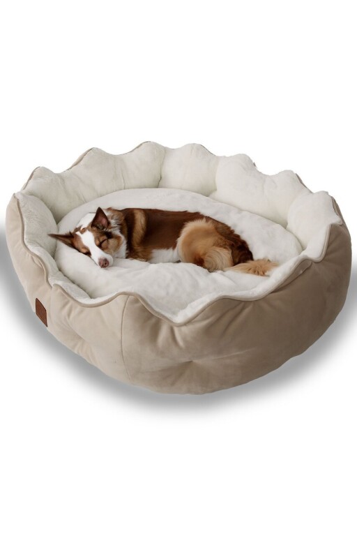 Pat pentru animale de companie, Paws &amp; Whiskers, Elsa Dog M, Material exterior: 100% poliester, Crem