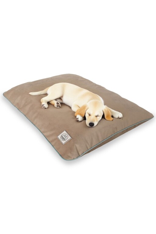 Pat pentru animale de companie, Paws &amp; Whiskers, Puppy Dog L, Material exterior: 100% poliester, Bej