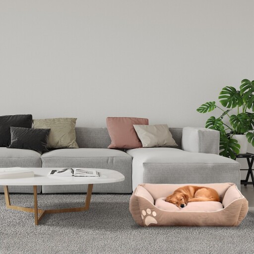 Pat pentru animale de companie, Paws &amp; Whiskers, Lucy Dog &amp; Cat M, Material exterior: 100% poliester, Maro / Bej