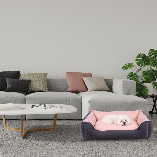 Pat pentru animale de companie, Paws &amp; Whiskers, Lucy Dog &amp; Cat M, Material exterior: 100% poliester, Gri/Roz