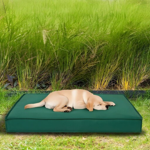 Pat pentru animale de companie, Paws &amp; Whiskers, Eva Garden Dog XL, Material exterior: 100% poliester, Verde