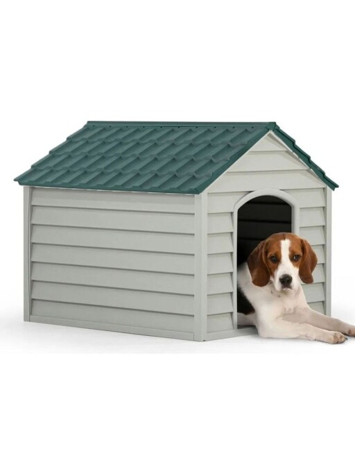 Casă pentru animale de companie, Paws &amp; Whiskers, 5100-3, Plastic, Gri-verzui