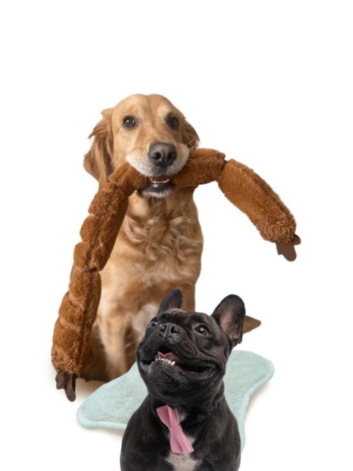 Jucărie pentru câini, Paws &amp; Whiskers, Havhav 1013, 100% MATERIAL TEXTIL PLUȘOS, Maro