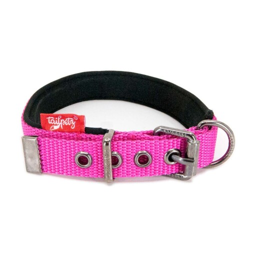 Zgarda pentru câini, Paws &amp; Whiskers, Comfy, Poliester, Fucsia