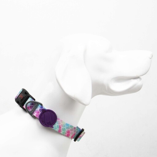 Zgarda pentru câini, Paws &amp; Whiskers, Bubles, Poliester, Multicolor