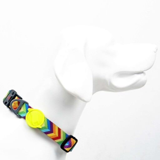Zgarda pentru câini, Paws &amp; Whiskers, Rainbow, Poliester, Multicolor