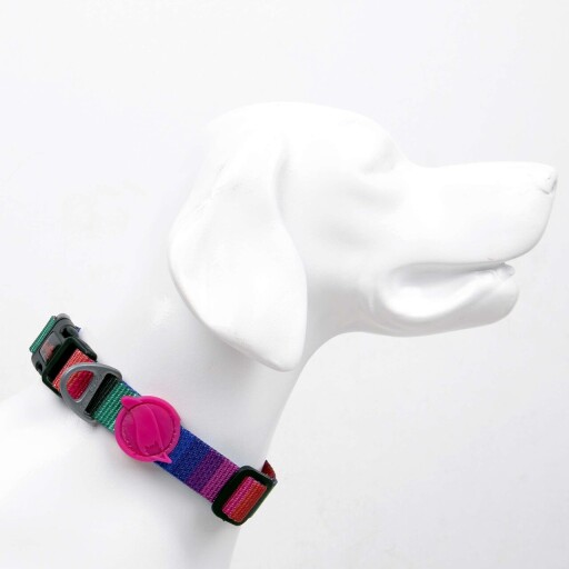 Zgarda pentru câini, Paws &amp; Whiskers, Wave, Poliester, Multicolor