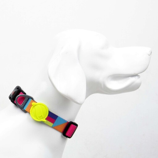 Zgarda pentru câini, Paws &amp; Whiskers, Spirit, Poliester, Multicolor