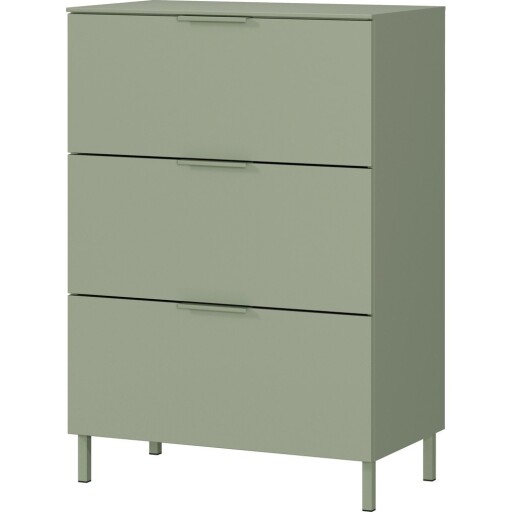 Dulap verde cu aspect mat 68x98x40 cm Savoca – Germania